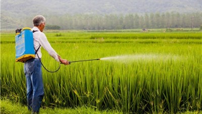 打农药七大禁忌，这个一定要知道